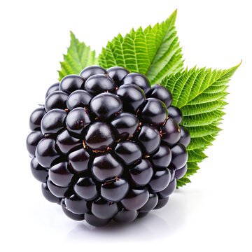 Blackberry
