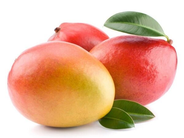 Egyptian Mango Fas