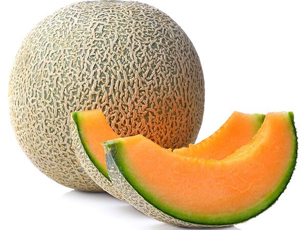 Cantaloupe Box