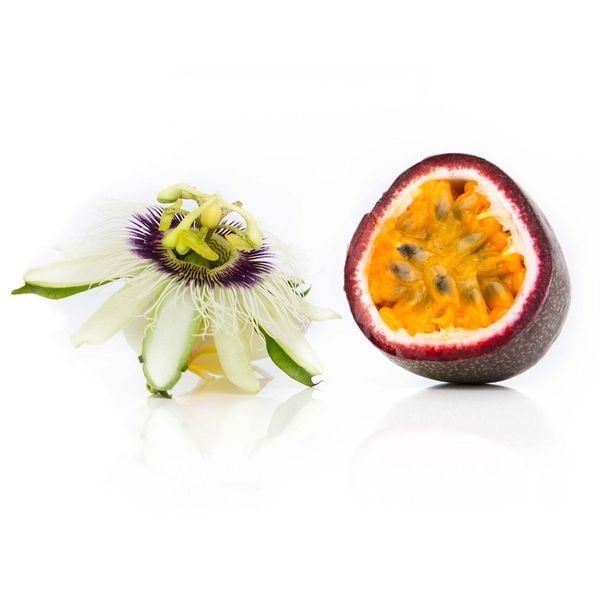 FrederickPassiflora Passion Fruit