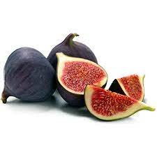 Egyptian Fig