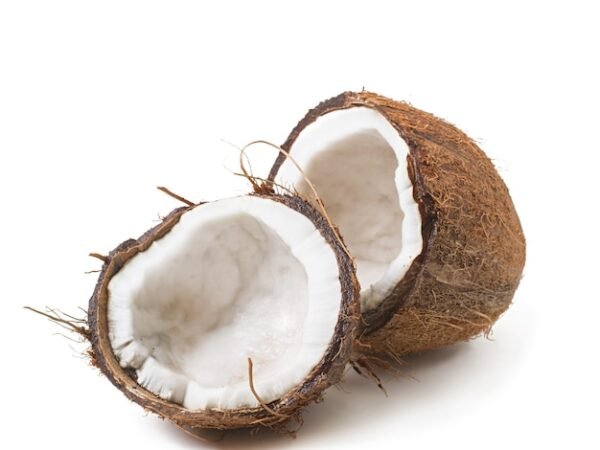 Coconut-image