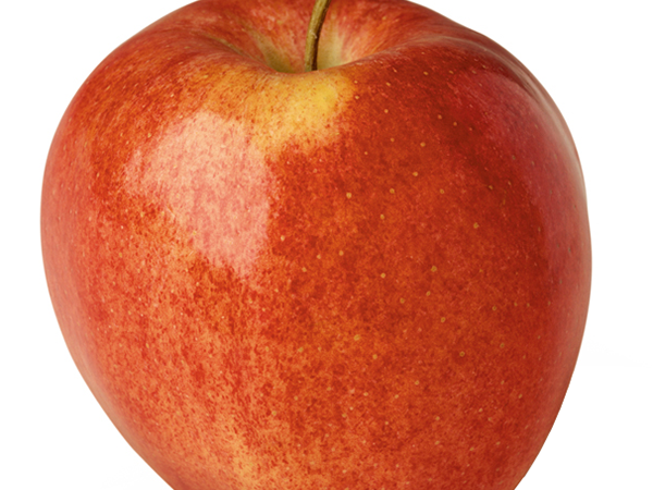 Gala Apples