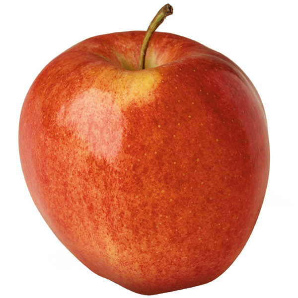 Gala Apples Gala Apples