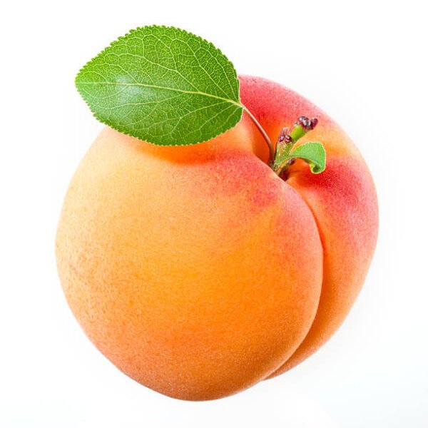 Apricot with leaf on a white background. Apricot