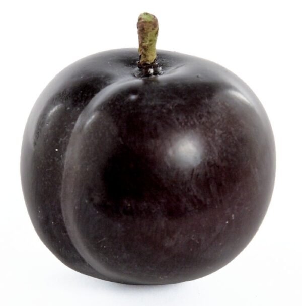 plum Brown Plum