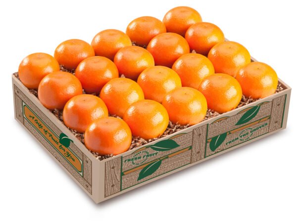 Mandarin Orange 10kg