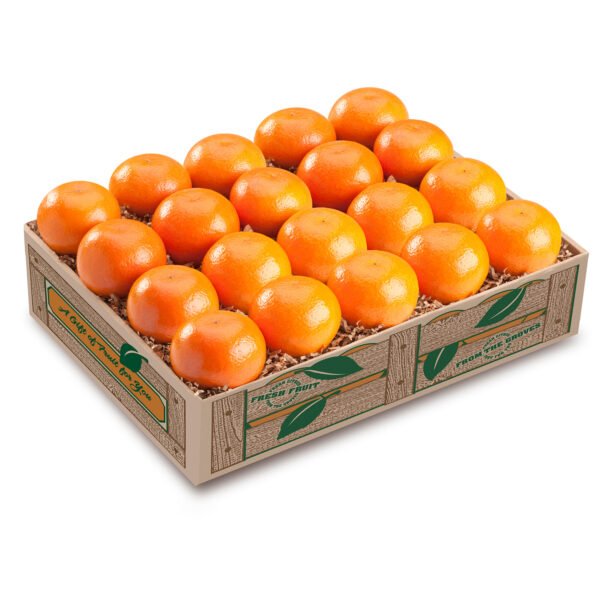 Mandarin Orange 10kg Mandarin Orange 10kg